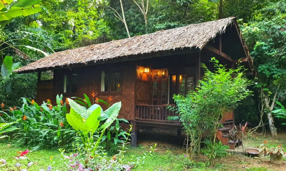 Our Jungle Camp - Eco Resort